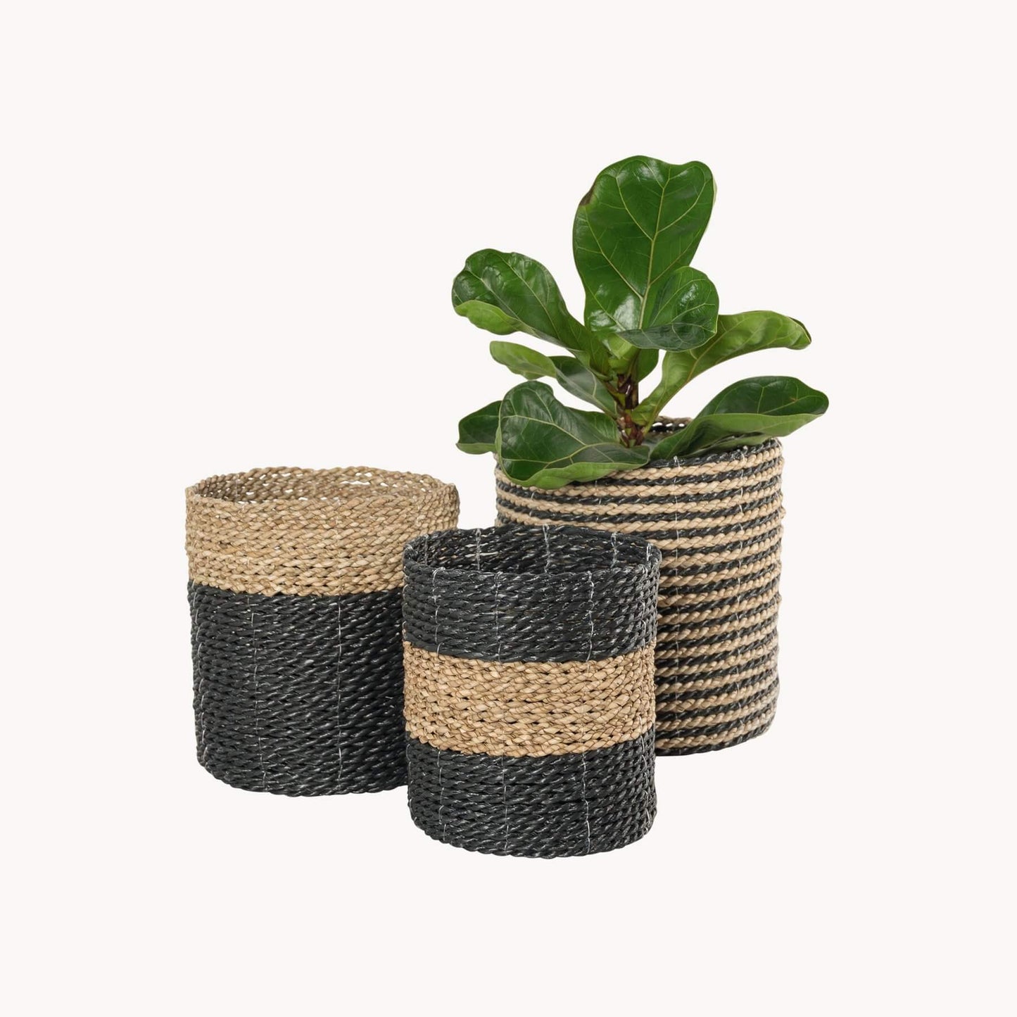 Seagrass Plant Baskets - Black/Natural Living Pokoloko Prettycleanshop