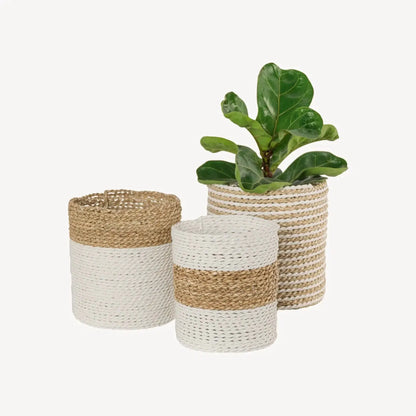 Seagrass Plant Baskets - White/Natural Living Pokoloko Prettycleanshop