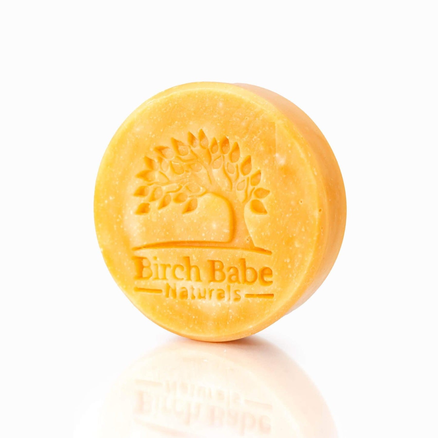 Shampoo and Body Bar - Citrus Swirl - by Birch Babe Naturals Hair Birch Babe Naturals Prettycleanshop
